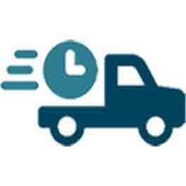 Icon: truck with clock, symbol for fast delivery